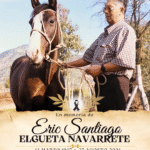 Eric Santiago Elgueta Navarrete